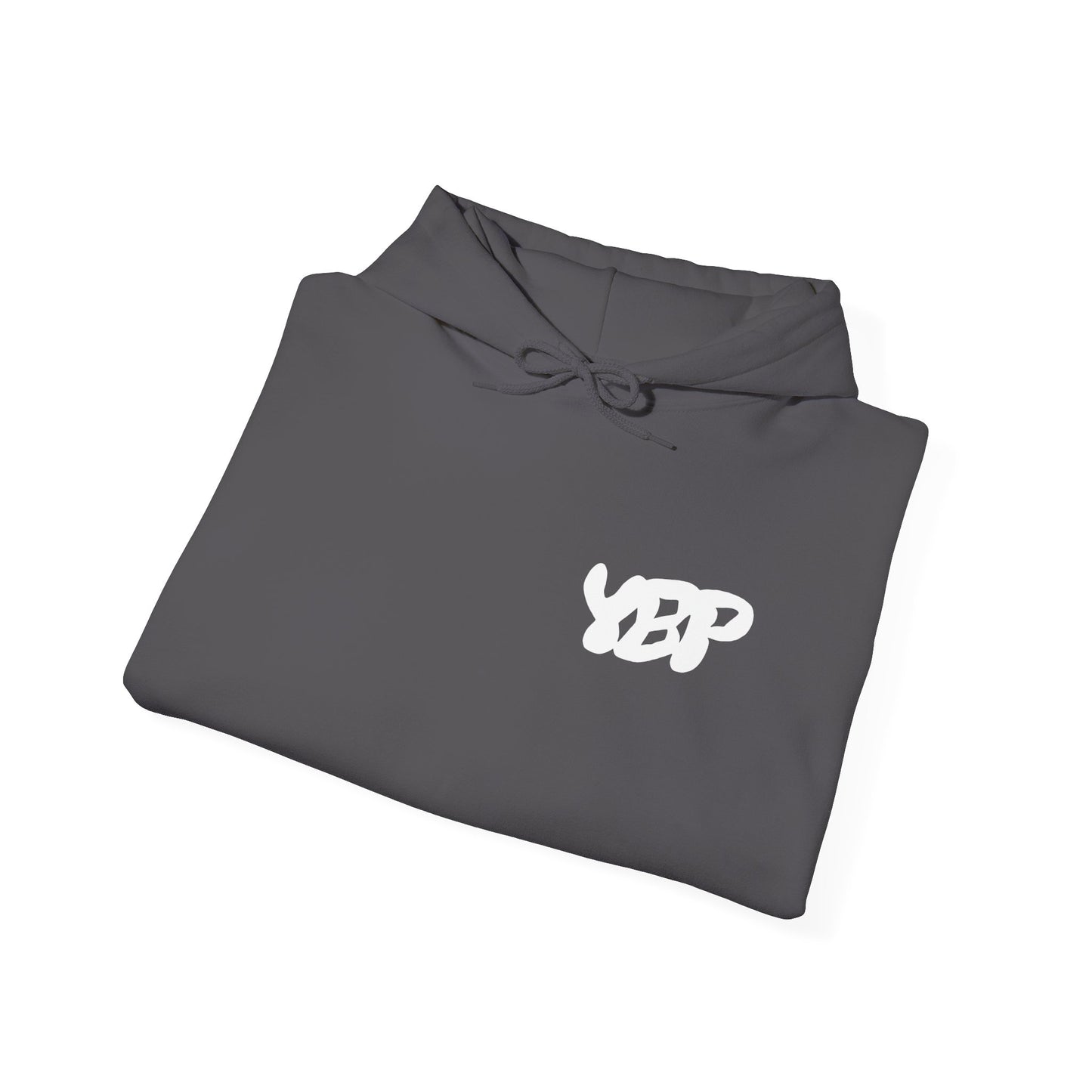 YBP DEBUT Graphic Hoodie
